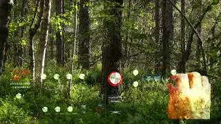 Spirit of the Forest - synth soundtrack (Hydrasynth Explorer, Strymon Bigsky)