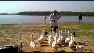 Rawalake islamabad 24oct10