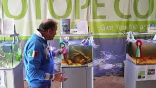 HEIKO BLEHER BIOTOPE CONTEST 2016