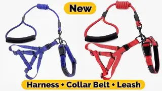 New Heavy Dog Harness Unboxing | All In One Dog Belt | Collar + Leash + Harness | Dog Harness