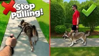 The Leash Pulling FIX I Use With Every Client!