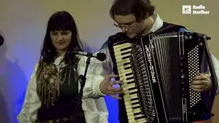 Die Alpenoberkrainer / Alpski kvintet - Kranjsko dekle