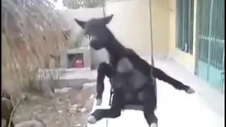Прикол , разведусь с женою и женюсь на теще!