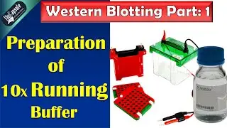 Western Blotting Part 1: 10 X running buffer preparation