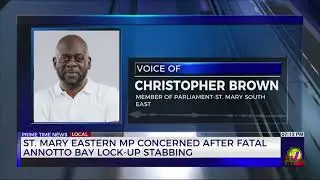 St. Mary Eastern MP Concerned after Fatal Annotto Bay Lock-Up Stabbing | TVJ News