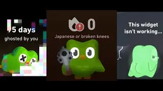 DUOLINGO WIDGETS but they get progressively WORSE