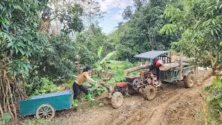 Using Agricultural Vehicles, Two Country Girls Transporting Wood Moving On The Road Stuck In The Mud