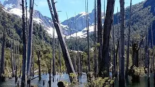 Parque tagua tagua, trekking  laguna de los alerces unidos y quetrus (aventura mochilas pesadas)