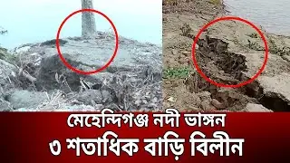 মেহেন্দিগঞ্জ নদী ভা'ঙ্গ'ন, ৩ শতাধিক বাড়ি বিলীন | Mehendiganj | Bangla News | Mytv News