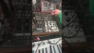 #ginkosynthese #superbooth25