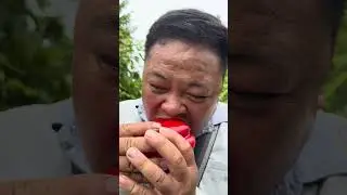 Does anyone like eating bell peppers like Pao? #shorts #bushcraft #dailylife #survival #outdoors