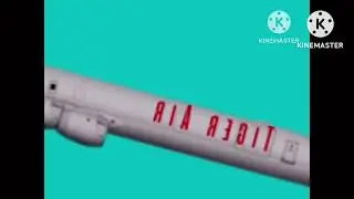 Tiger Air Flight 3247 Crash Animation