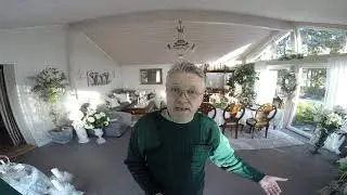 Hundens Värld Problem vid hundmöten