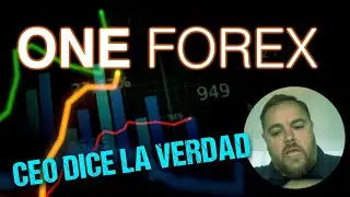 CEO of ONE Ecosystem tells us about the truth of ONE Forex and its delay