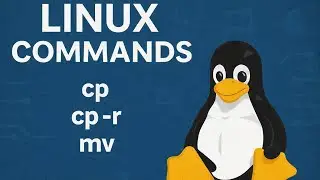 Linux Basics || أوامر النسخ والنقل وإعادة التسمية ( cp , cp -r, mv )