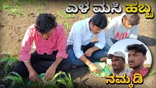 FESTIVAL VIBES ✨❤️🙌🏻 ||NIKKI|| ||kannada vlogs|| ||festival vibes||