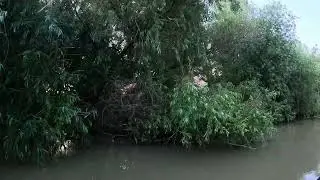 Delta dunării, Mila 23