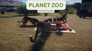 Planet Zoo Career Mode: Hiring Freeze - HARD - NO COMMENTARY
