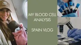 I went for a live blood cell analysis! Bio hacking