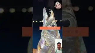 fish 🐠🐋🐟 confusion 😱😱😱😱 #ytshorts #subscribe #shortsfeed #entertainment #Randomtube