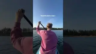 Как я купила сап... бесплатно?