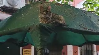 ТУРЦИЯ  СТАМБУЛ Grand Bazaar  