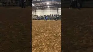 Mini Bull riding