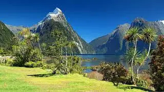 Soothing guitar vibes [peaceful harmonics] - VIBES OF NATURE