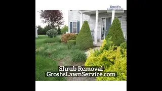 Shrub Removal Mercersburg Pennsylvania Landscape Contractor