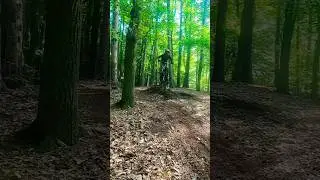 🤟wjeżdżamy w sobotę 🌲#mtb #mtblife #bike #bikelover #shorts #mtbvideos