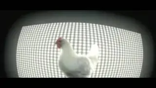 Chicken song (Ear Rape)