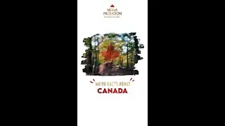 WEIRD THINGS ABOUT CANADA | PLACES IN CANADA | PR | CANADA IMMIGRATION | NEXUS MIGRATION