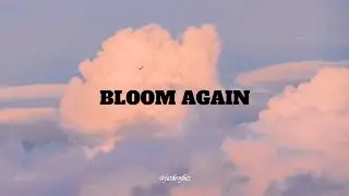 Bloom Again (Official Music Video)