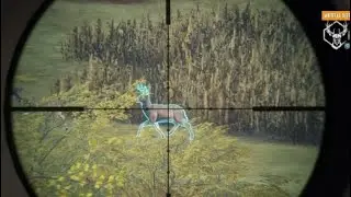 Nice stalk on level 2 buck | Hunter call of The wild