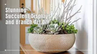 🪴 Craft a Winter Garden Wonderland: ❄️ Stunning Succulent Displays and Branch Art DIY