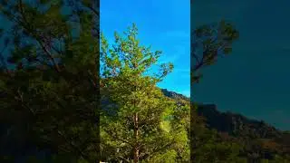 Sospel