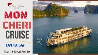Mon Ch&eacute;ri Cruises -  The Most Luxurious Yachts in Ha Long Bay and Lan Ha Bay
