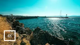 Relaxing Ocean Sounds for Sleep and Study | Golden Gardens Park, Seattle