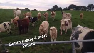 Pat Keane Intro Video for Mayo Macra do Stars in their Eyes