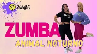 ANIMAL NOTURNO | MASTIKSOUL I ZUMBA | PETROULA