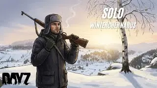 SOLO auf Winter-Chernarus – Jeder Fehler ist der Tod | DayZ Deutsch|Salvation