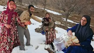 &ldquo;Leila&rsquo;s Firm Refusal 💔 | Family Pressure, A City Trip & Gathering Firewood in the Mountains&rdquo;