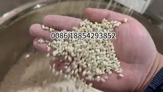 2025 Best sell Wheat peeling machine in Romania