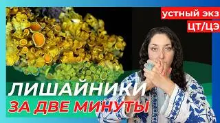 УСТНЫЙ ЭКЗАМЕН - 7 ВОПРОС, ЛИШАЙНИКИ