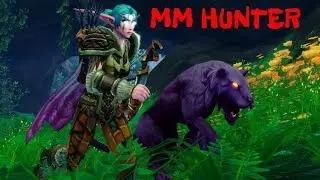 Bane Of The Falling King | Solo Tank & Heal | MM Hunter POV PVE 3.3.5 WOTLK