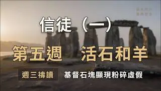 W5D3 信徒（一）　第五週週三　活石和羊 #晨光同行 #晨興聖言