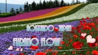 Japan Trip:  Lavender, Lillies, Tractors and Trains at the Furano Flower Fields, Hokkaido 03