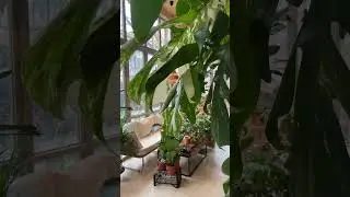 Cozy SMALL Garden Tour!