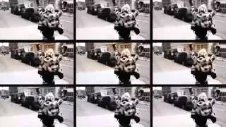 City Life   Dynamic Opener  Videohive After Effects Template