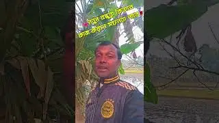 💐ফেসবুকে নতুন বন্ধুরা কিভাবে দ্রুত সফল হবে 🌹